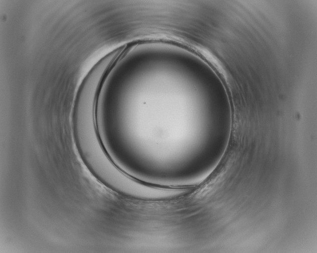 X0000088710951200705311354