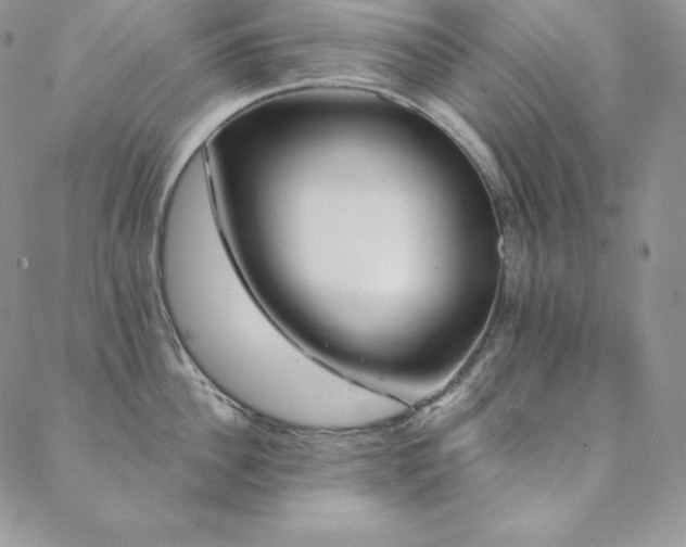 X0000088710956200705311354