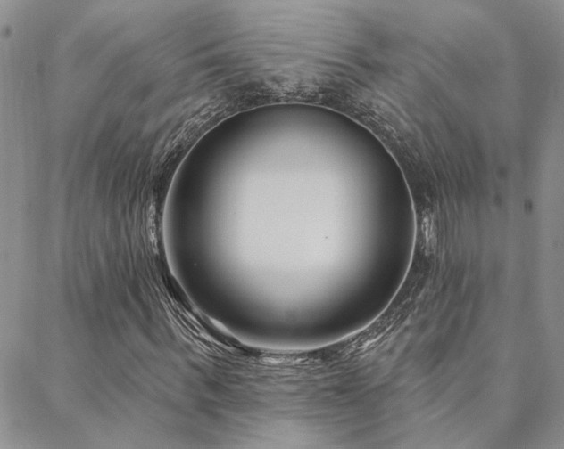 X0000088710963200705311354