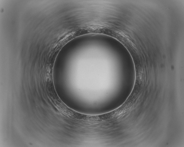 X0000088710964200705311354