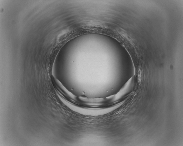 X0000088710965200705311354