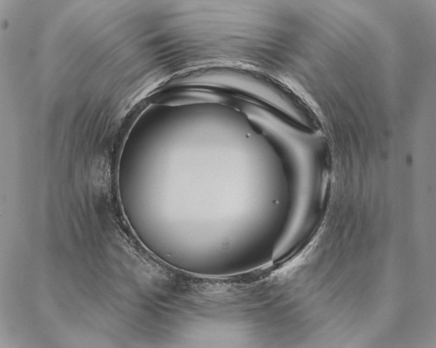 X0000088710969200705311354