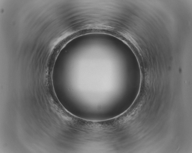 X0000088710971200705311353