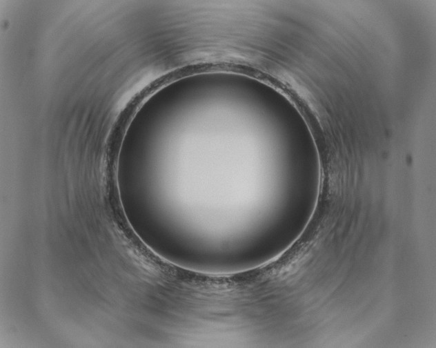 X0000088710975200705311353
