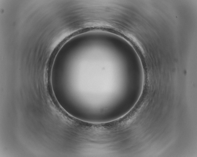 X0000088710983200705311353