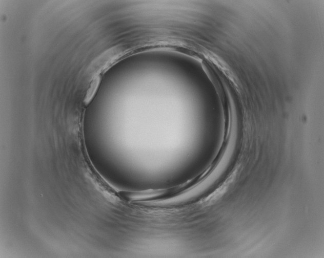 X0000088710985200705311353
