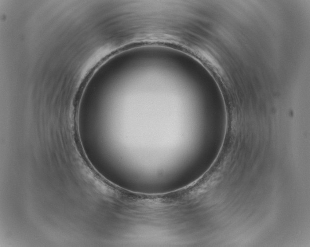 X0000088710990200705311353