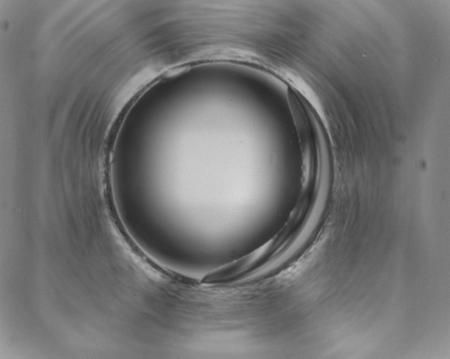 X0000088710997200705311353