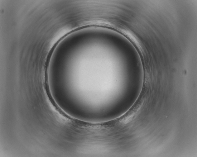X0000088710999200705311353