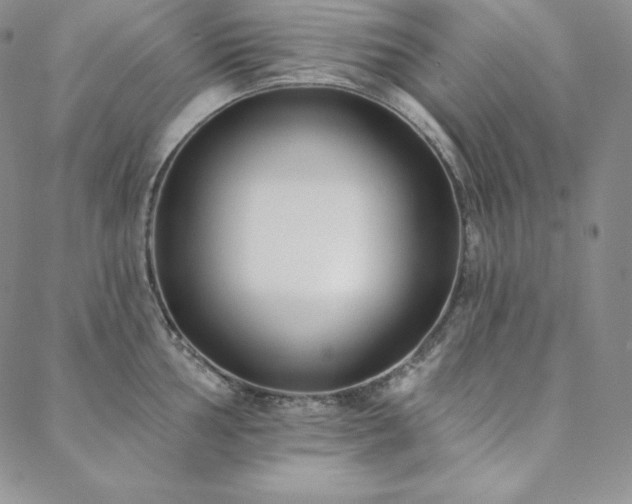 X0000088711002200705311353