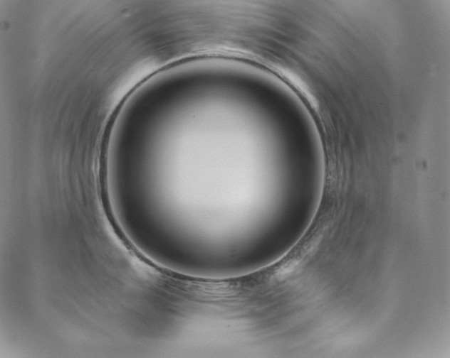 X0000088711007200705311353