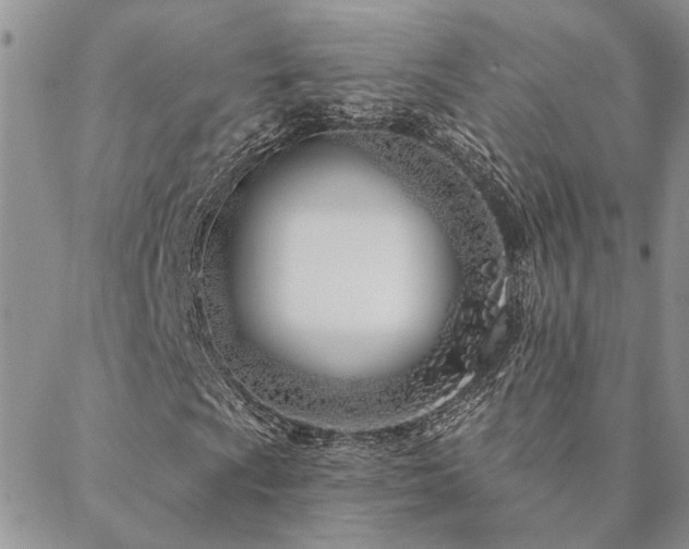 X0000088711009200705311352