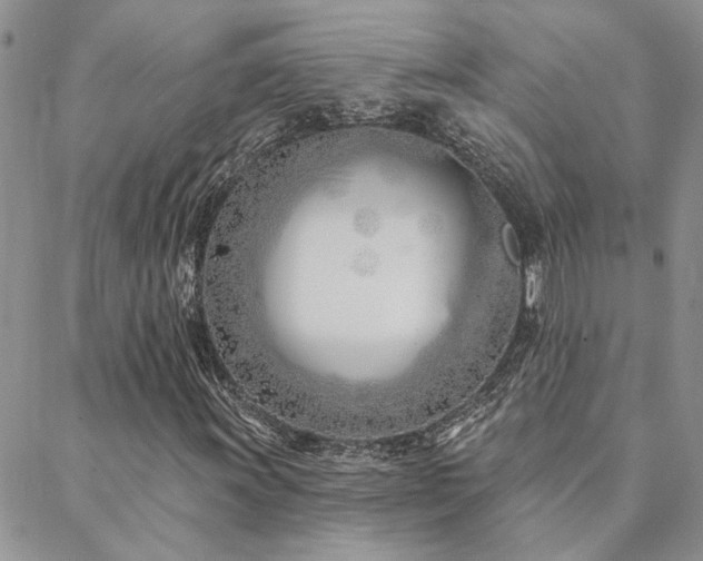 X0000088711011200705311352