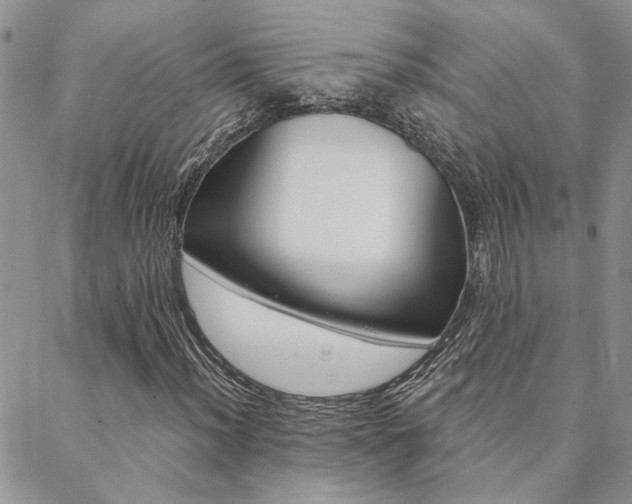 X0000088711012200705311352