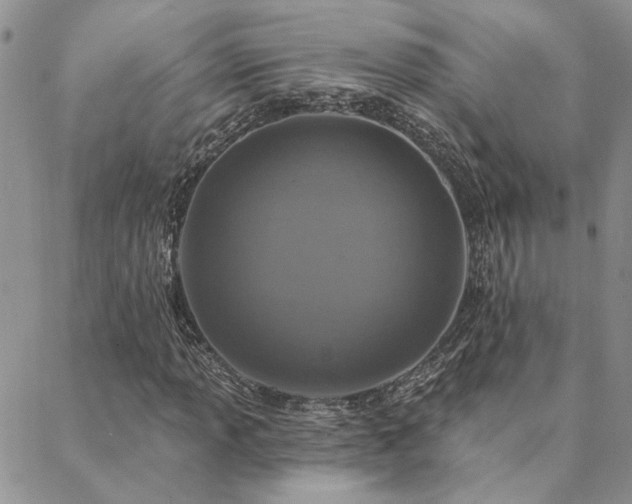 X0000088711013200705311352