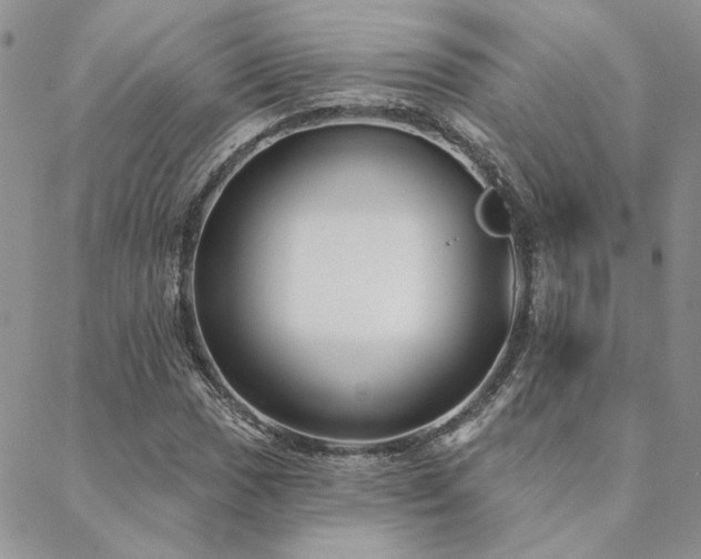 X0000088711017200705311352