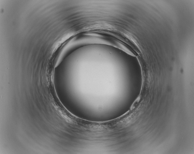X0000088711018200705311352
