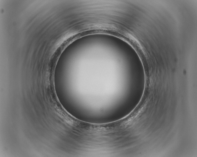 X0000088711019200705311352