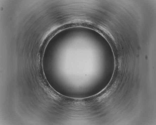X0000088711021200705311352