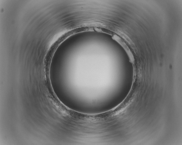 X0000088711022200705311352
