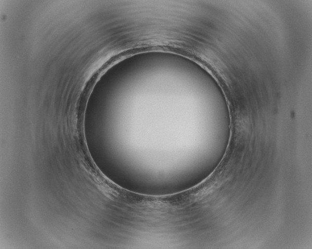 X0000088711023200705311352