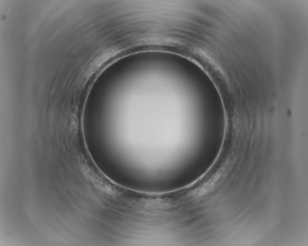 X0000088711025200705311352