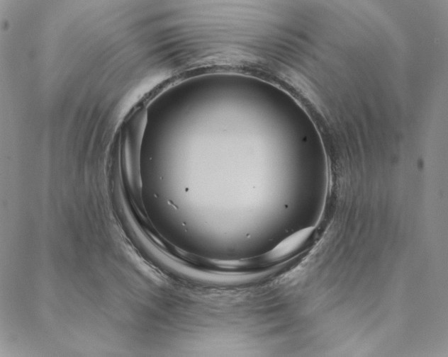 X0000088711026200705311352