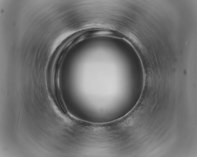 X0000088711030200705311352