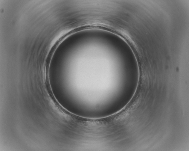 X0000088711032200705311352