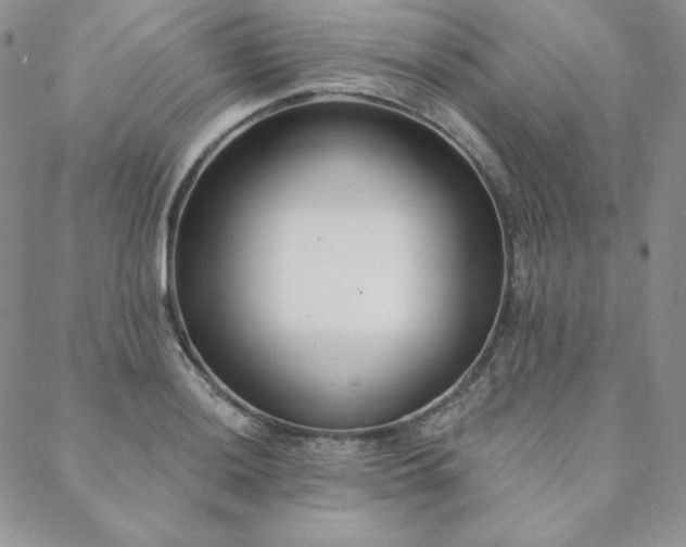 X0000088711036200705311353