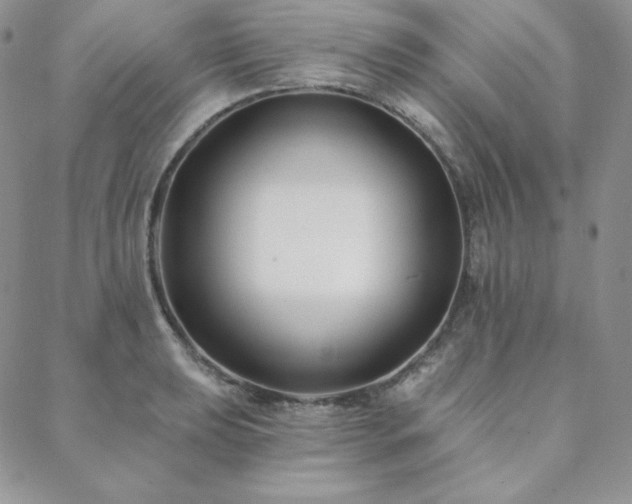 X0000088711039200705311353