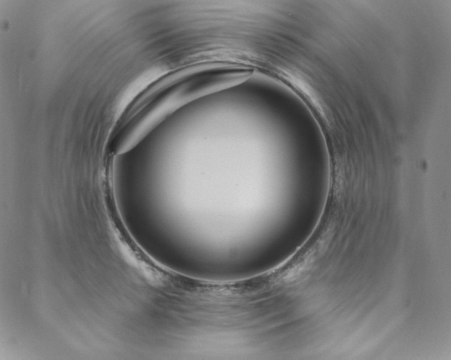 X0000088711042200705311353