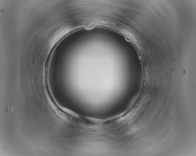 X0000088711047200705311353