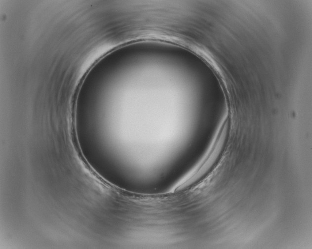 X0000088711048200705311353