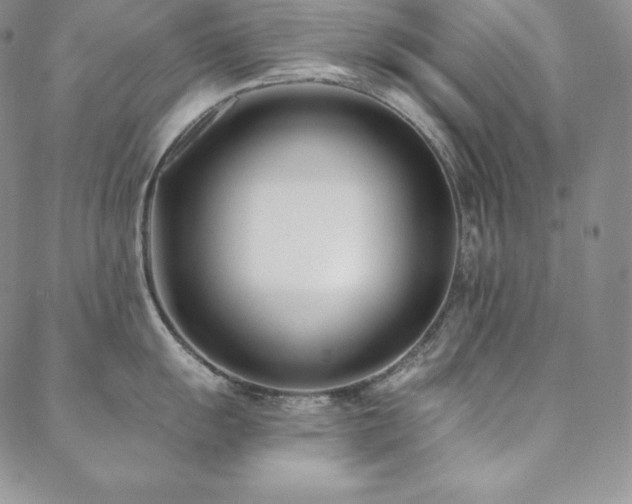 X0000088711055200705311353
