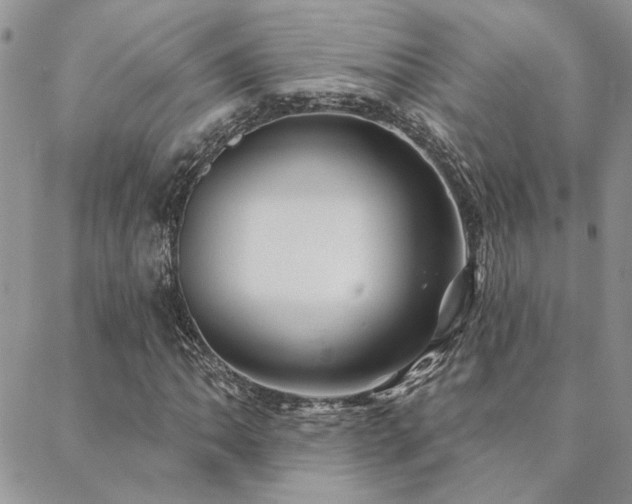 X0000088711062200705311352