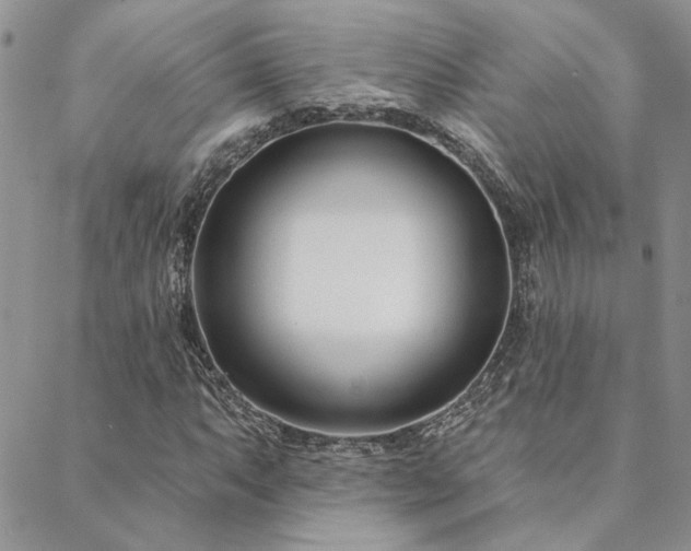 X0000088711063200705311352