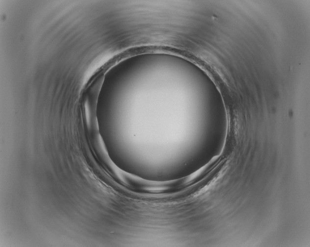 X0000088711069200705311352