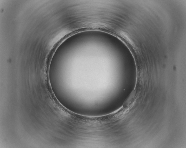 X0000088711071200705311352