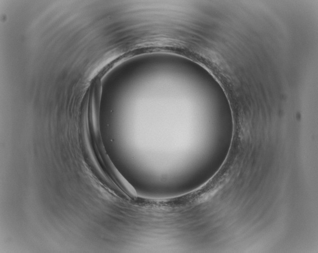 X0000088711073200705311352