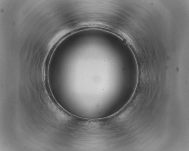 X0000088711082200705311352