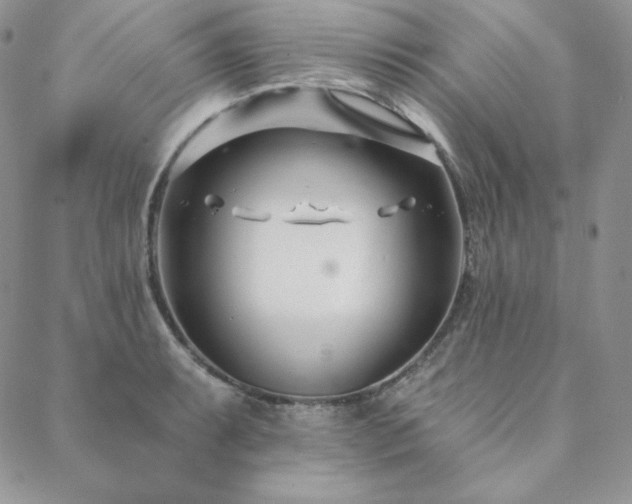 X0000088711087200705311352