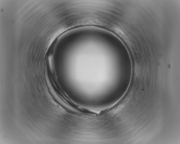 X0000088711089200705311352