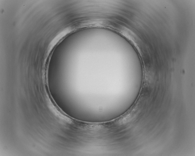 X0000088711090200705311352