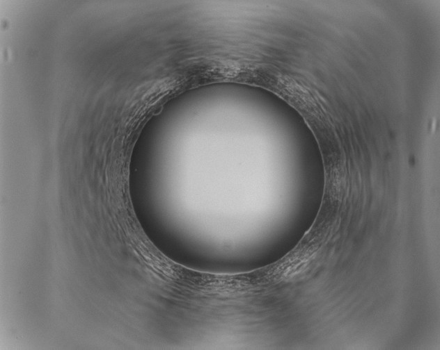 X0000088711105200705311351