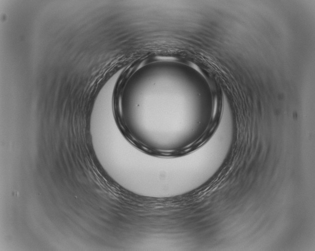 X0000088711108200705311351
