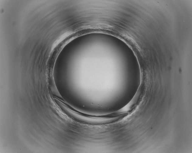 X0000088711114200705311351