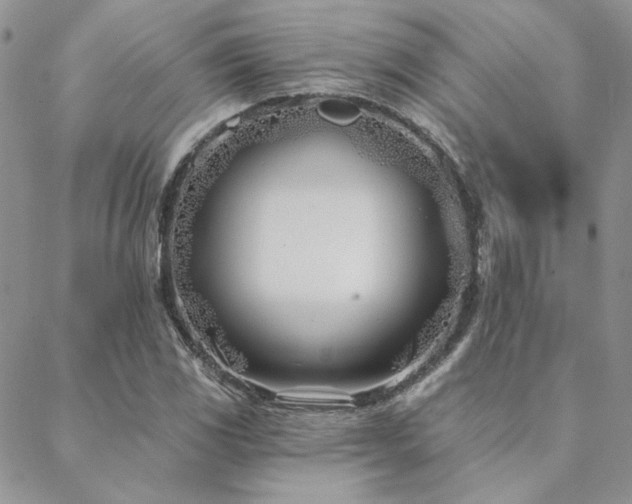 X0000088711117200705311351