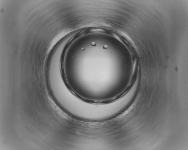 X0000088711122200705311351