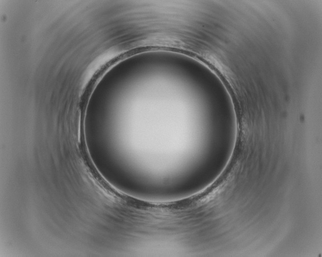 X0000088711123200705311351